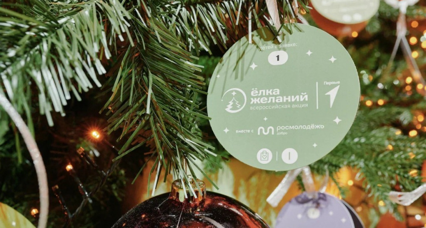 В России стартовала акция «Ёлка желаний»: организаторы рассказали о новых форматах и правилах