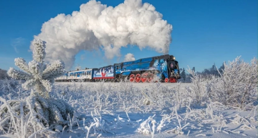Куда исчезают билеты на «Поезд Деда Мороза»: жительница Тамбова столкнулась с загадочной ситуацией