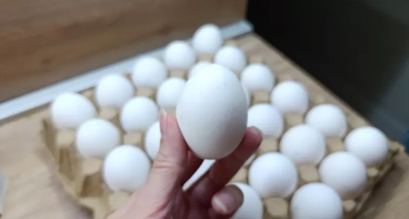 Главная ошибка перед Новым годом: холодная вода делает яйца резиновыми и портит «Оливье» - вот что нельзя делать