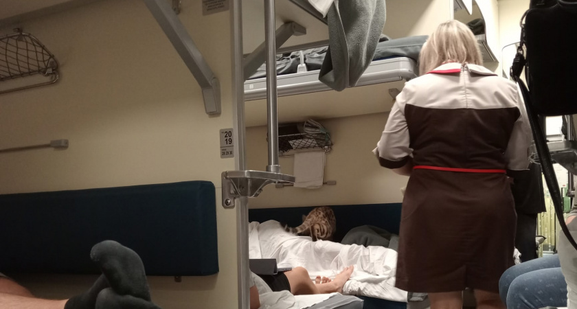 Откровения проводницы РЖД: за простыней в плацкарте охи-вздохи, и каждый рейс у пассажиров что-то пропадает