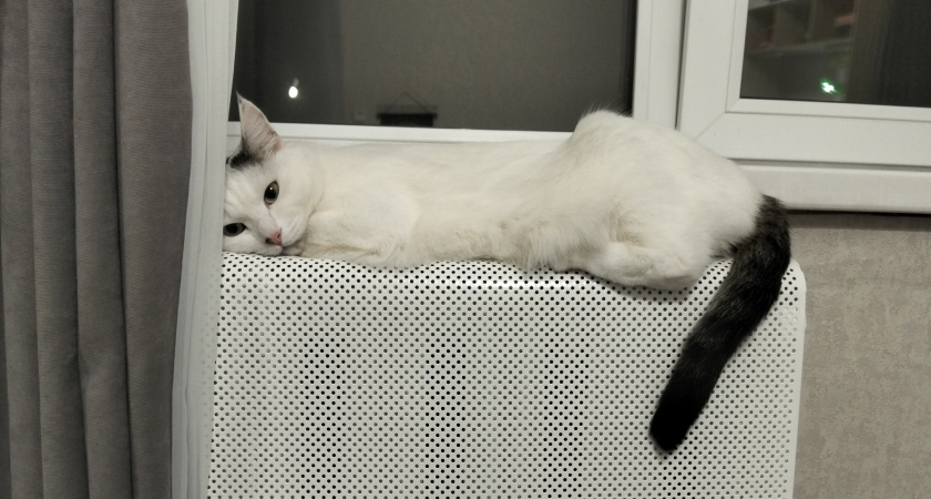 Дома на 5 градусов теплее даже в мороз - и без лишних расходов на отопление: 3 приема из дорогих отелей