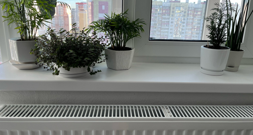 Кладу на подоконник одну вещь — и всю зиму живу с комфортом: в доме тепло даже в -40°C — еще и лесом пахнет