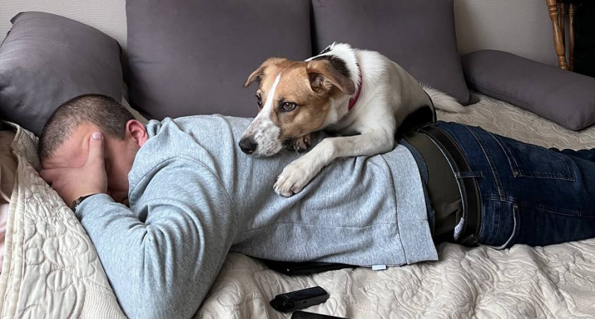 Думаете, собака лижет лицо просто из нежности? На самом деле питомец пытается сообщить гораздо больше — разбираем сигналы