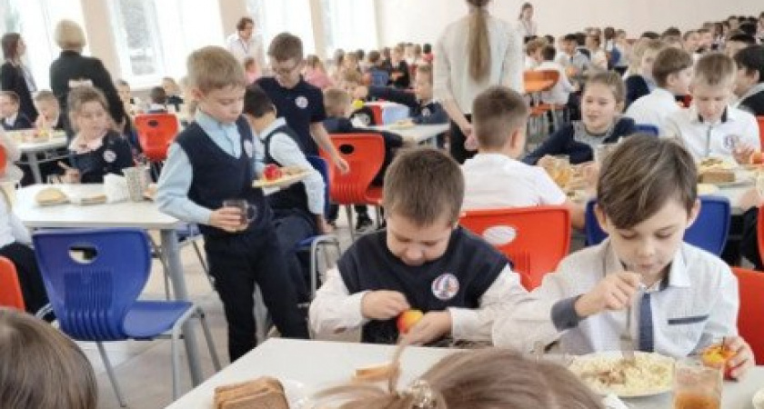 В Тамбове проверили школьные столовые: комиссия оценила питание в двух образовательных учреждениях