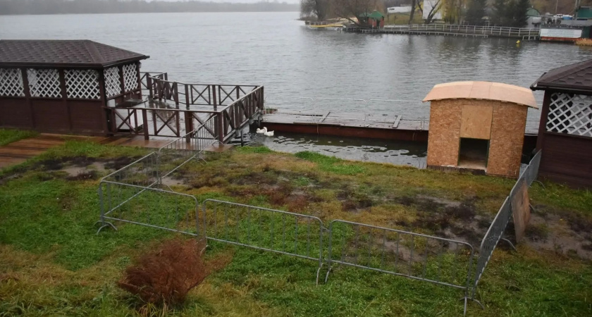 Тамбовским гусям подготовили зимнее убежище на набережной