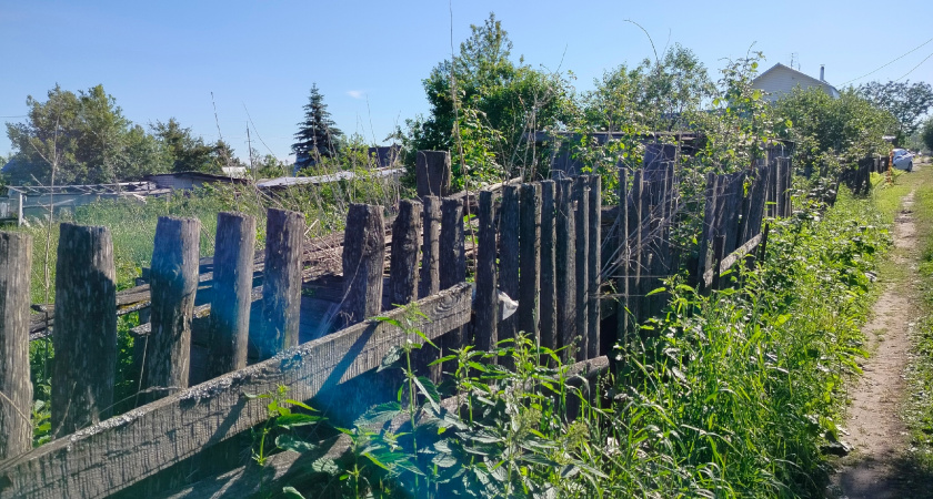 Секрет забора на 100 лет: как наши деды делали столбы, которые не гниют и стоят до сих пор - забытый метод