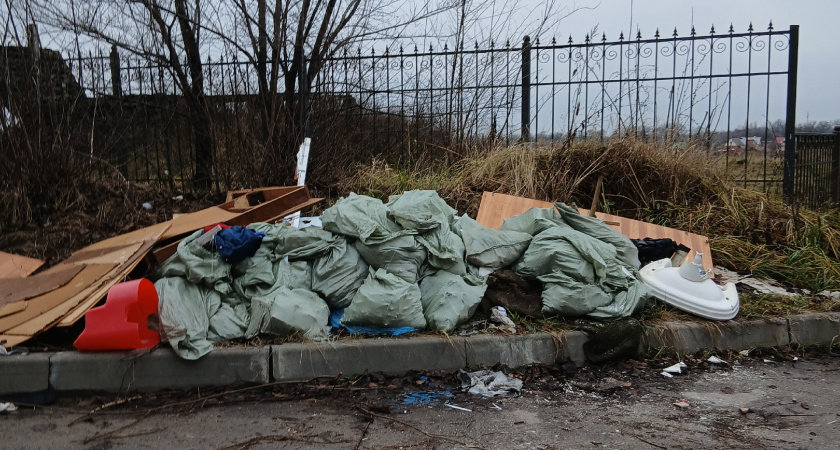 Битва за чистоту: почему жалобы тамбовчан в соцсетях тонут в планах и переговорах