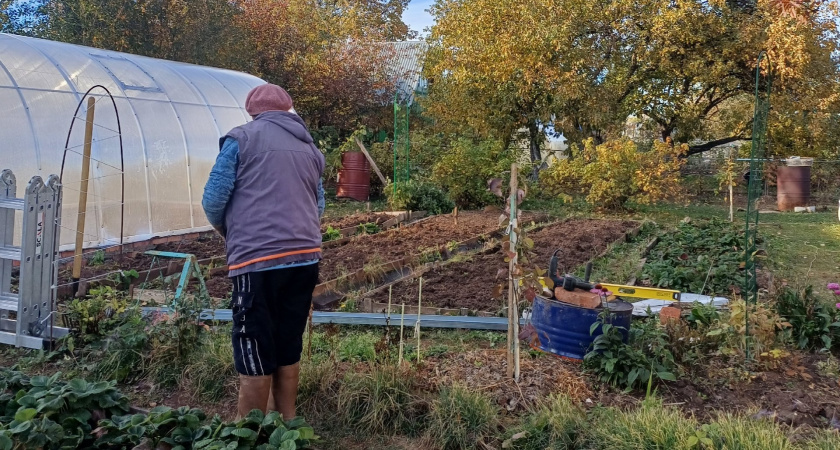 Почему я не прошу родственников помогать мне в огороде - и вам не советую