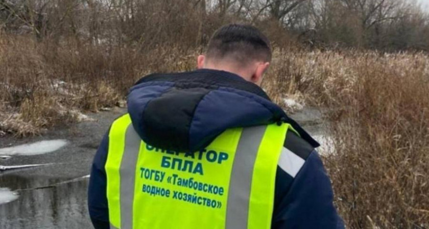 В Тамбове проведут аэросъёмку ручья Безымянный и территории у ТЭЦ для экологического мониторинга