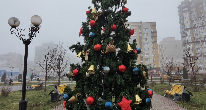 Сельская ёлка с отбором: как традиционный праздник в селе Тамбовской области стал поводом для родительского спора