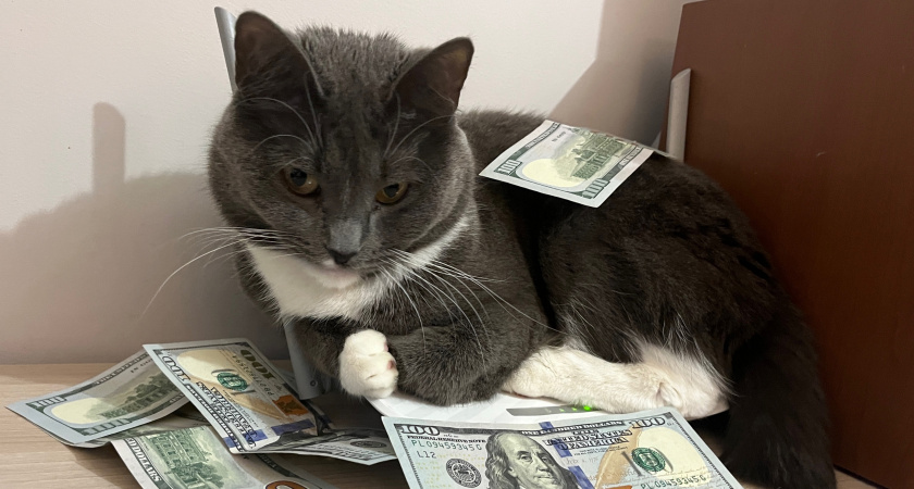 Как ухитриться быть всегда при деньгах: советы старой мудрой еврейки, проверенные временем