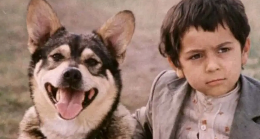 Помните цыганенка Степку из фильма "Мужики"? В этом человеке вы не узнаете очаровательного малыша