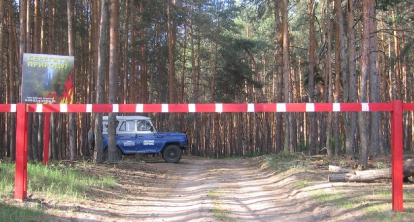 В Тамбовской области перед Новым годом усилили охрану лесов от незаконной вырубки