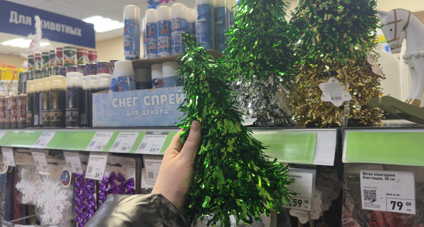 Искусственные елки и советские игрушки уже не в моде — вот чем украсить квартиру к Новому году, чтобы ахнули все друзья и соседи 