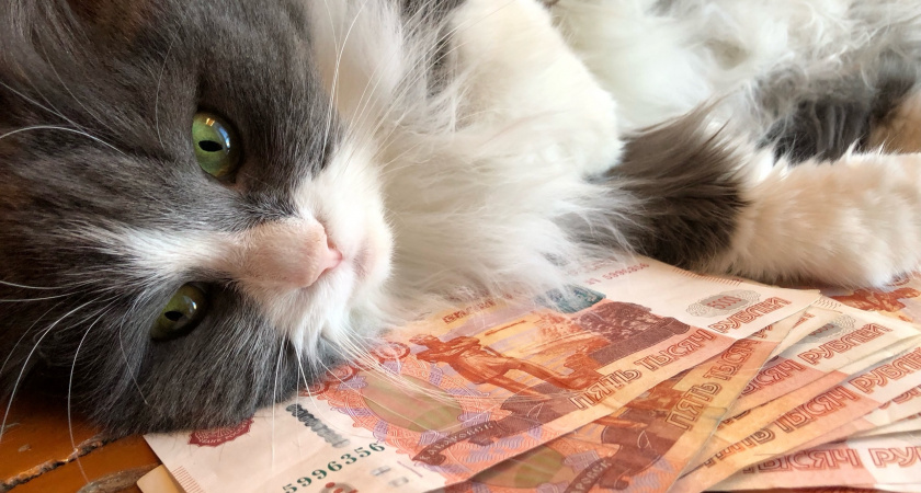 Как повысить пенсию тем, кто никогда не работал: схема, которая доступна каждому и не требует стажа