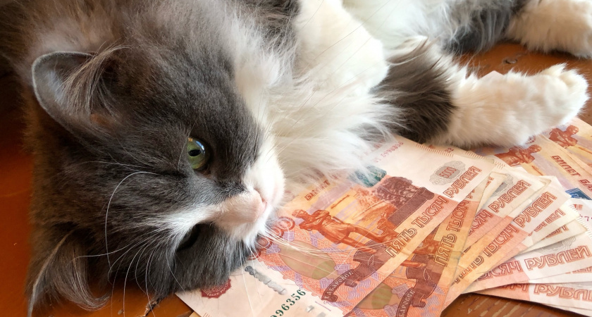 Бывший продавец из Тамбова обманывал доверчивых покупателей