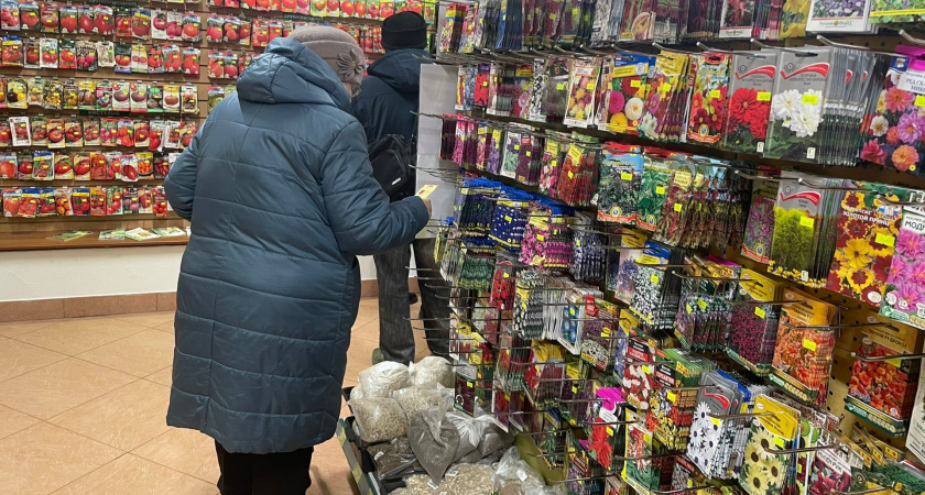 "Все хвалят, и мне надо": 9 из 10 садоводов совершают эти ошибки еще до посева рассады - не попадитесь в ловушку