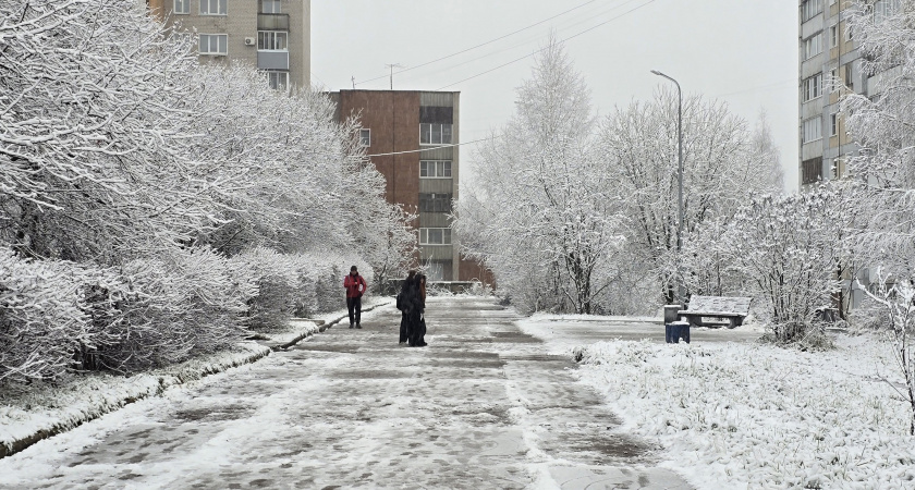 Накроет снежным покрывалом на 92%: Вильфанд рассказал, когда наступит тотальная русская зима
