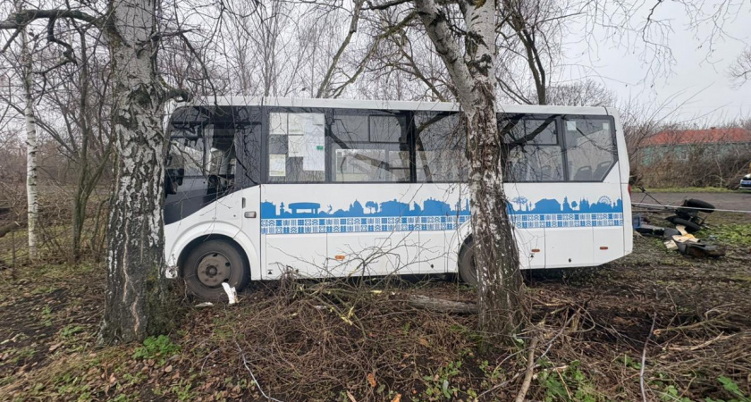 В Кирсановском округе столкнулись мотоблок и автобус: погибла пассажирка