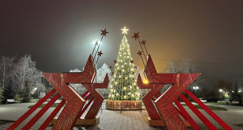 В Тамбове загорелись огни на новогодних ёлках: в парке Победы установили 12-метровую красавицу
