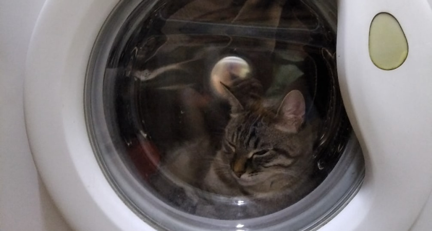 Как постирать большое одеяло, которое не влазит в стиральную машину: экономим на химчистке и не мучаемся