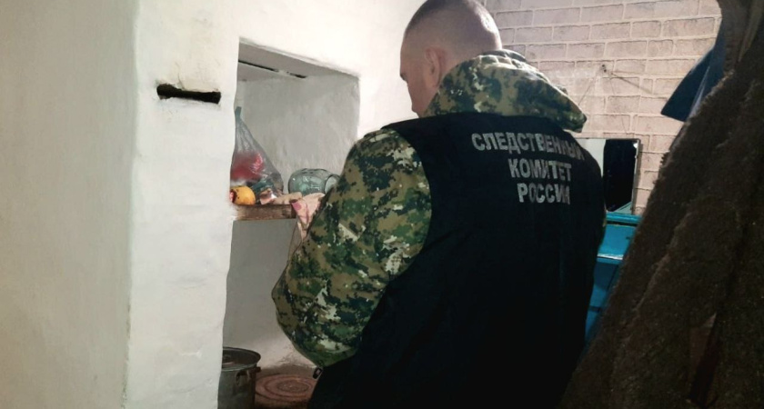 В населенном пункте Изосимово, относящемся к Мичуринскому округу, найдены мертвыми 84-летняя женщина и ее 63-летний сын