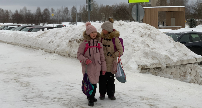 Зимние каникулы в тамбовских школах станут рекордными по продолжительности