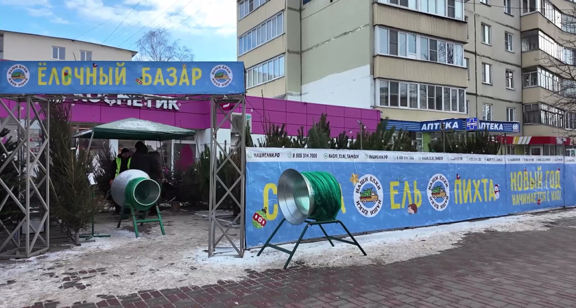 В Тамбове открылись ёлочные базары: где и за сколько можно купить новогоднее дерево