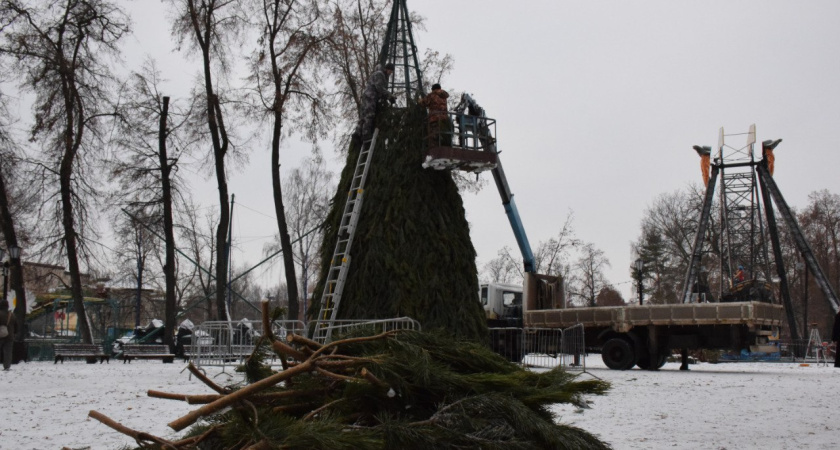 В городском парке Тамбова впервые установят девятиметровую новогоднюю ёлку