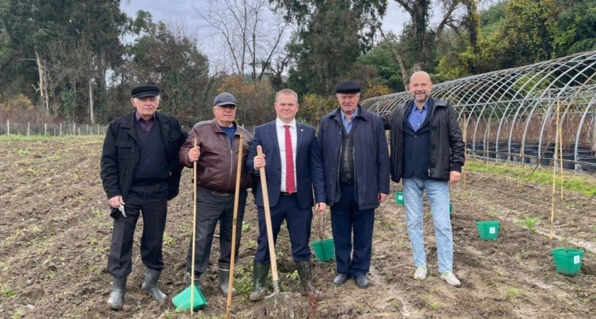 Тамбовские учёные заложили «Мичуринский сад» с жимолостью в Абхазии