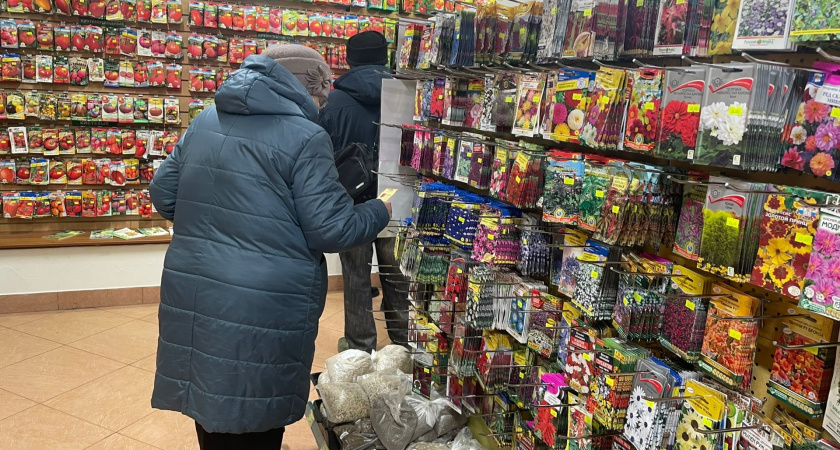 Томаты, которые быстрее всех разбирают в садовых магазинах: 15 самых вкусных, урожайных и неприхотливых сортов