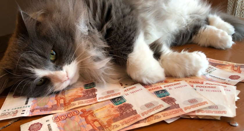 Деньги никогда водиться не будут, если забудешь эти мудрые советы - еще бабушка завещала