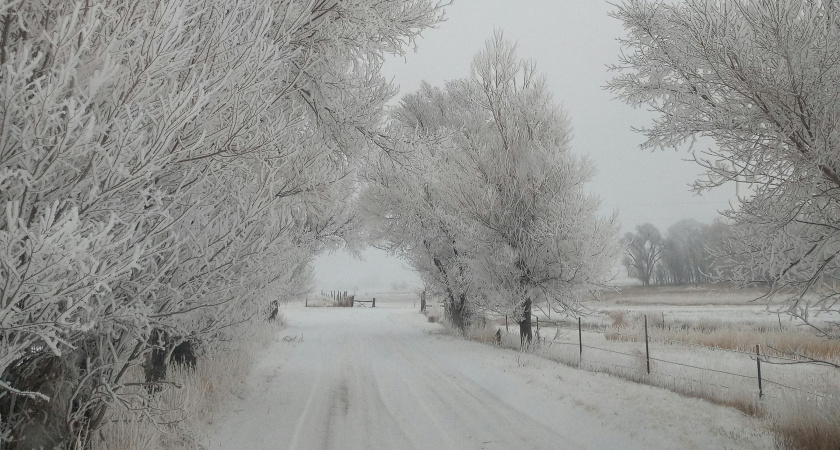Снег и морозы до −5 градусов: какая погода ждёт Тамбов в ближайшие дни