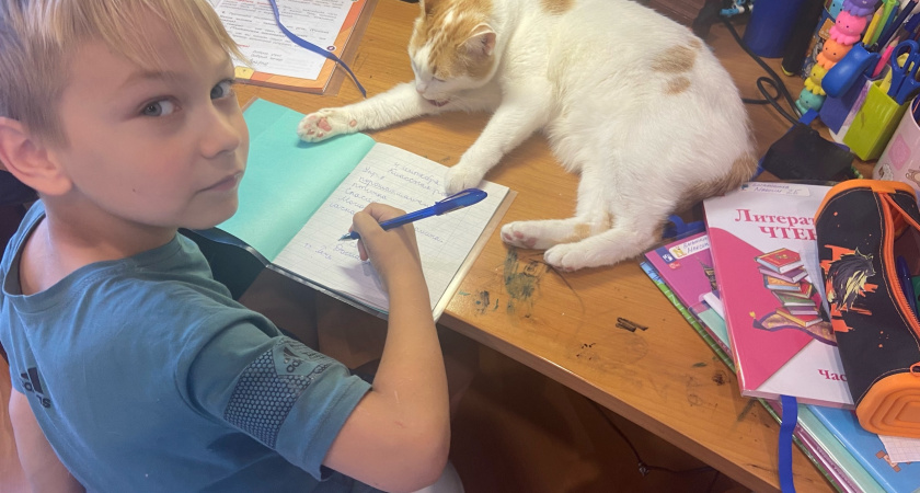 Чудесное имя для мальчика: сказочное, богатырское и безумно красивое - в переводе значит "победитель"