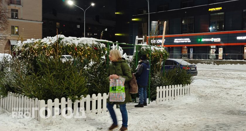От мечты к плану: советы для жителей Тамбовской области, как превратить новогодние «хочу» в посильные шаги