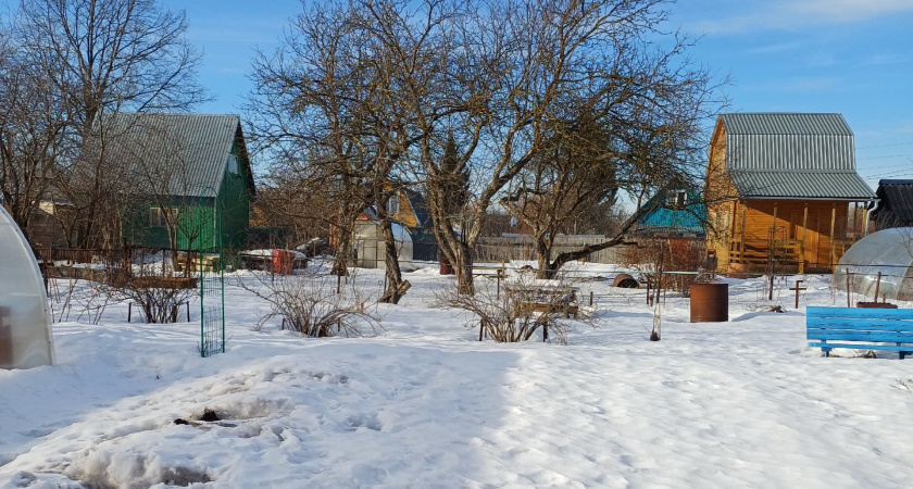 Что лучше открыть в теплице на зиму: форточку или дверь — агрономы ставят точку в давнем споре садоводов