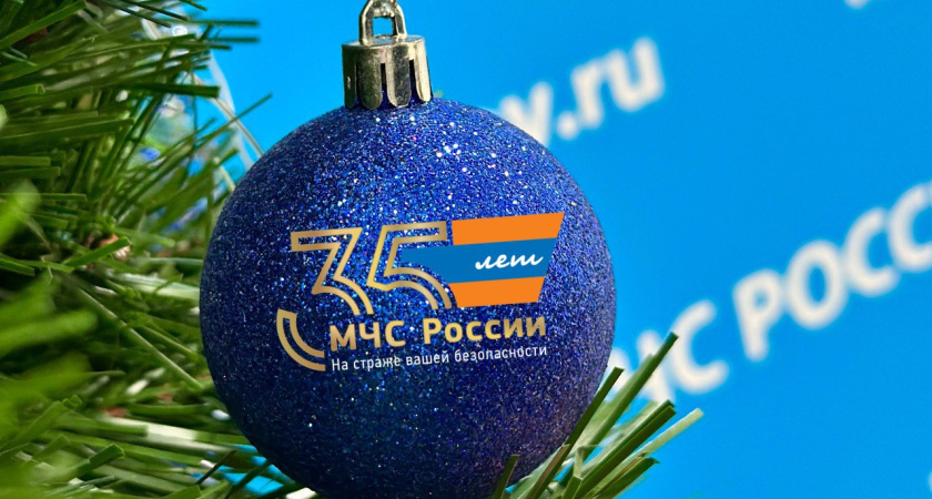 МЧС напомнило жителям правила пожарной безопасности при установке новогодней ёлки