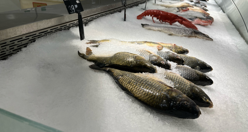 Эта рыба в 10 раз полезнее магазинной курицы: в ней больше белка и почти ноль калорий