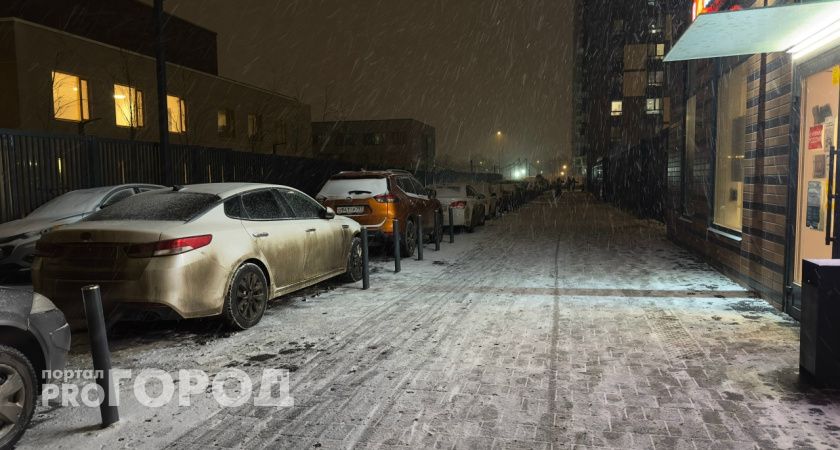 Погода в Тамбове 1 января: снег и холод ждут тамбовчан в четверг