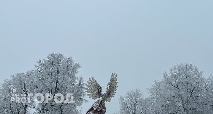 В Тамбовском регионе зафиксирована "Воздушная тревога" из-за угрозы атаки дронов