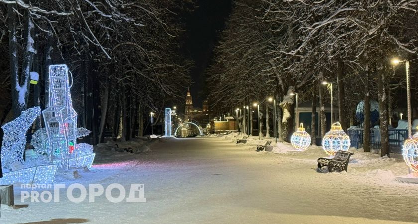 В Тамбове начало января ознаменуется холодной погодой: погода в субботу, 3 января