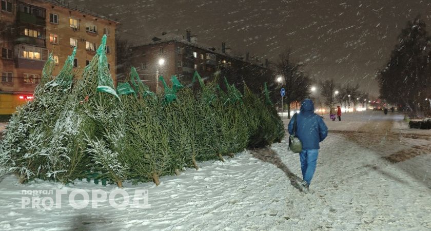 В Тамбовском регионе сохранится снежная погода