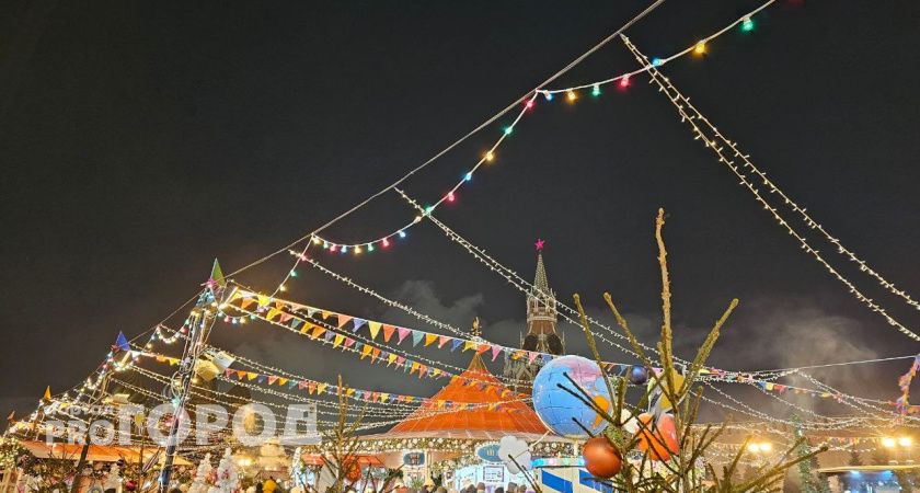 Жители Тамбова поделились своим мнением о главном символе Нового года