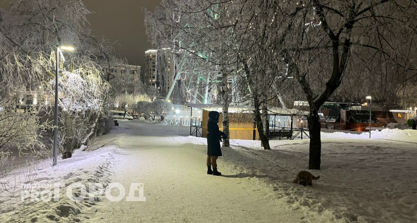 На этой неделе погода продолжит демонстрировать свою непостоянность