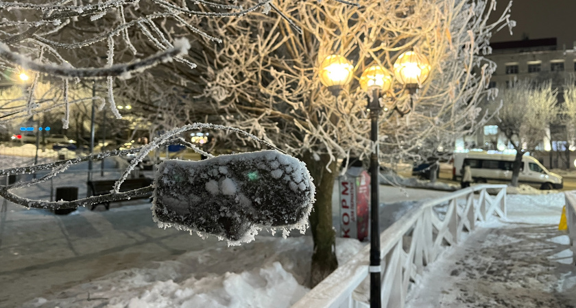 Морозы до -30 и снега по колено: синоптики обновили прогноз на январь 2026 года