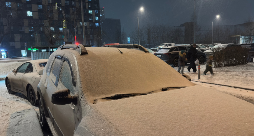 Водителям грозит штраф за парковку у мусорных контейнеров: какую сумму придется отдать в 2026 году за "удобное" местечко