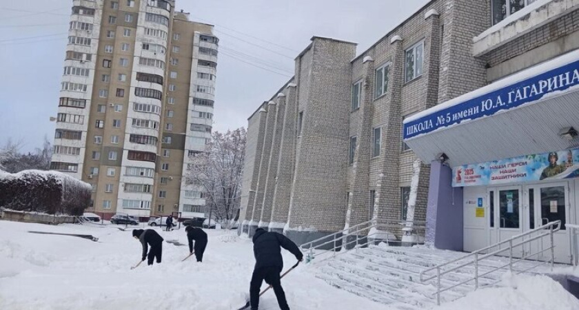 В Тамбове стартовала масштабная зимняя кампания под названием «Снежный десант»