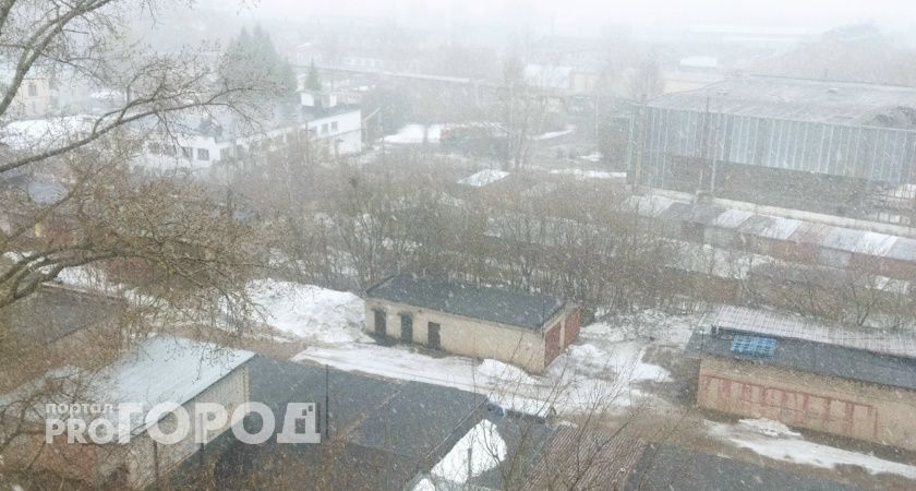 Росреестр проведёт для жителей Тамбова три горячие линии о недвижимости