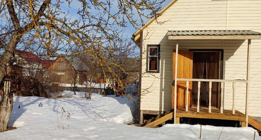 Дачники, забудьте навсегда об этих "народных подкормках" — ваш огород скажет "спасибо": не удобрения, а беда для растений