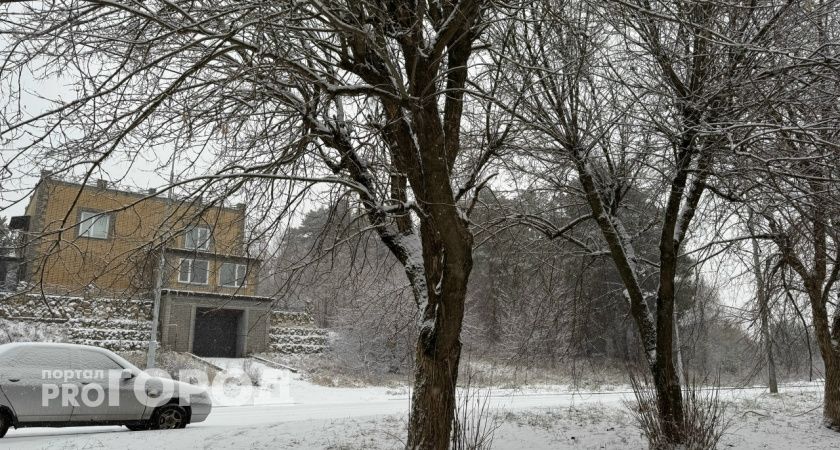 Тамбовские городские службы придут на помощь жителям при уборке снега